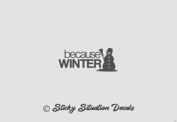 Because winter