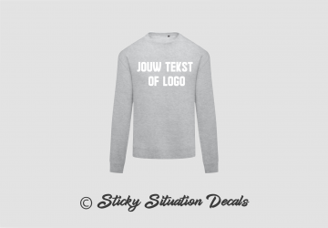 Trui licht grijs 20752