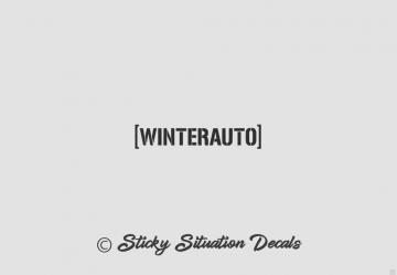Winterauto